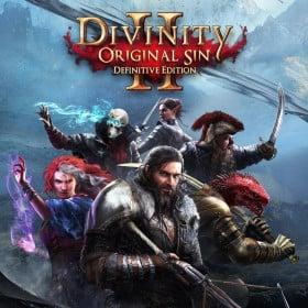 Изображение Divinity: Original Sin 2