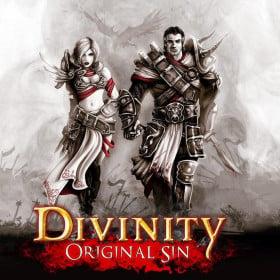 Изображение Divinity: Original Sin