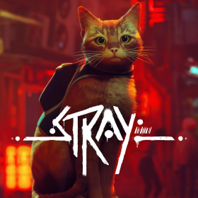 Изображение Stray